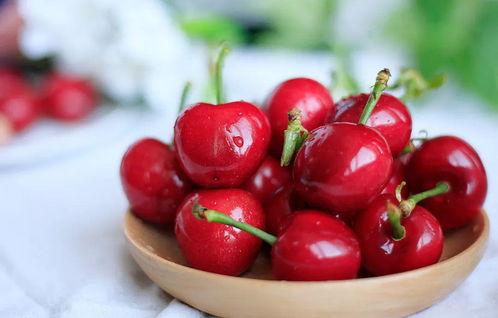 樱桃成人视短视频18,揭秘成人世界的真实面貌