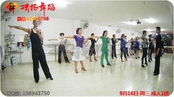 成人上课培训视频,高效学习策略与实用技巧全解析