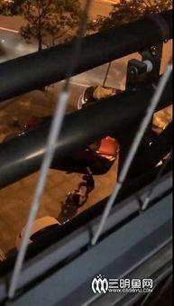 成人街头打架视频大全,成人打架视频大盘点