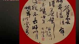 标准成人书法教学视频,标准成人书法教学视频精华概述