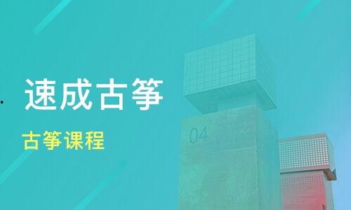 成人训练小班课程教学视频,互动教学,提升技能