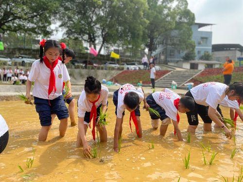 歌颂袁隆平成人舞蹈视频,袁隆平院士的辉煌成就与时代颂歌