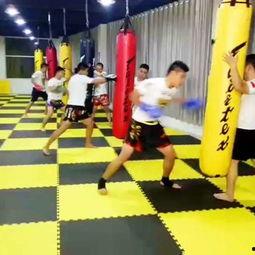 搏击成人团体训练视频大全,全方位成人团体训练视频解析