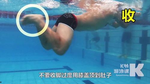 成人男子蛙泳标准视频