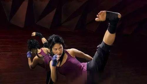 成人散打班视频全集下载,实战技巧与训练方法深度解析