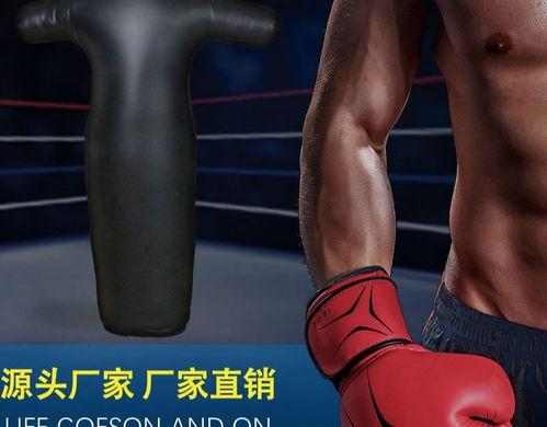 假人成人拳击教学视频,跟随假人视频，掌握成人拳击技巧