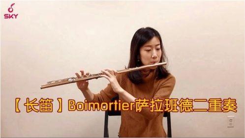 成人长笛视频大全播放,视频大全带你轻松掌握演奏技巧