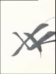 海字成人练字视频大全