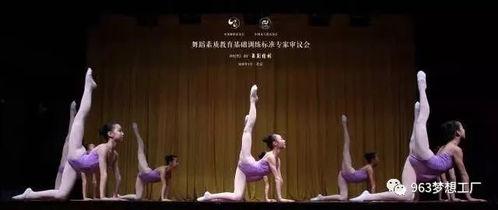 鼎盛成人舞蹈视频大全